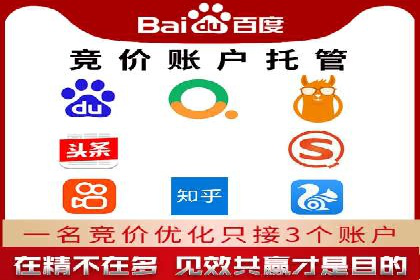 竞价托管服务在sem推广中的应用与效果展示